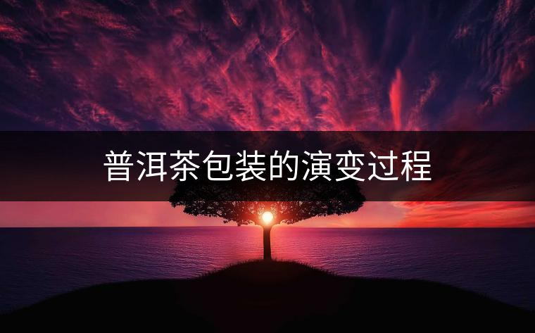 普洱茶包裝的演變過(guò)程