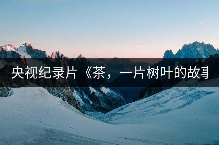 央視紀錄片《茶，一片樹葉的故事》紀錄片 昨晚開播