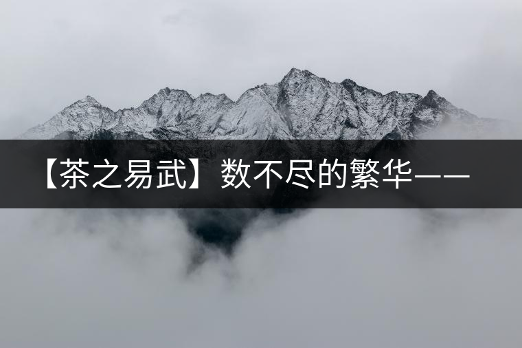 【茶之易武】數(shù)不盡的繁華——易武茶的步履