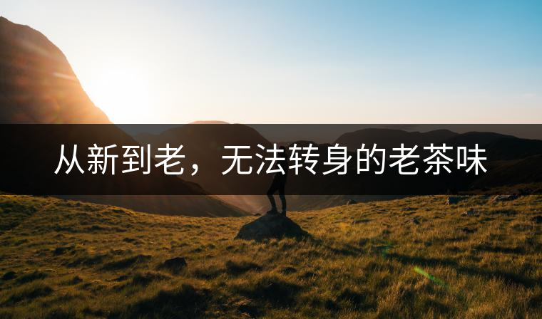 從新到老，無法轉(zhuǎn)身的老茶味