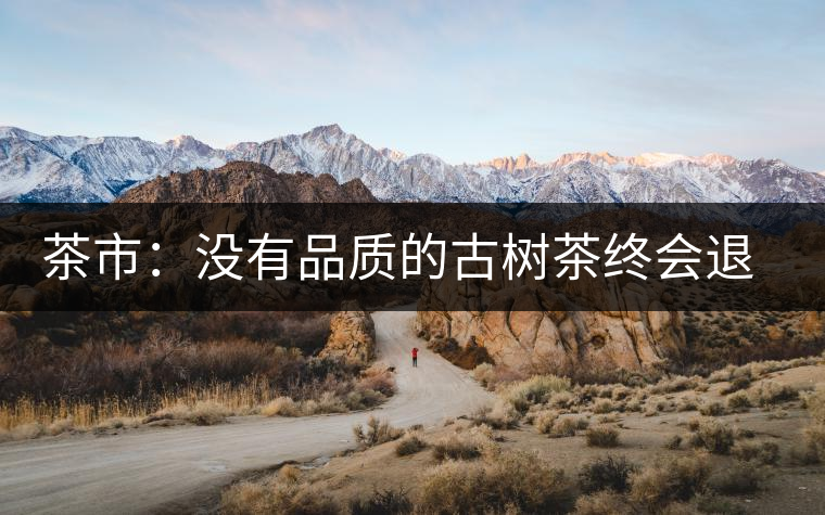 茶市：沒有品質(zhì)的古樹茶終會(huì)退出市場