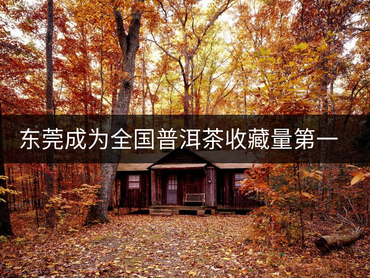 東莞成為全國普洱茶收藏量第一位的城市？