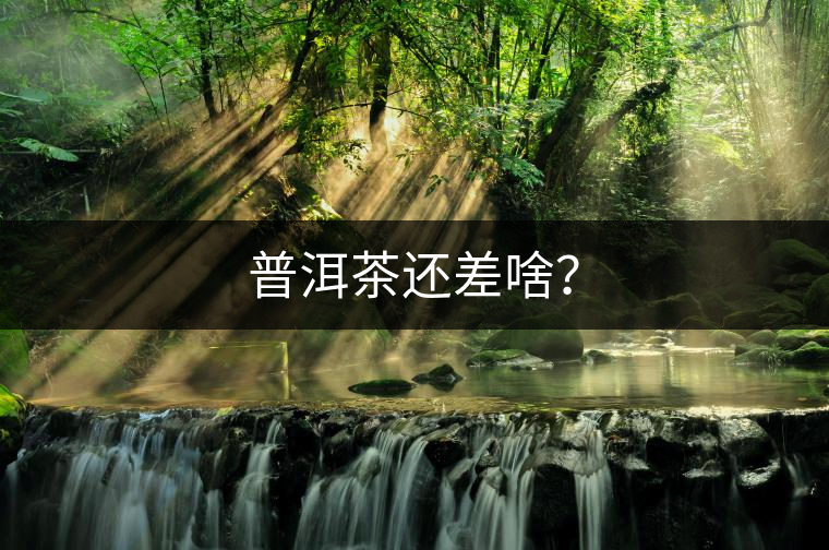 普洱茶還差啥？