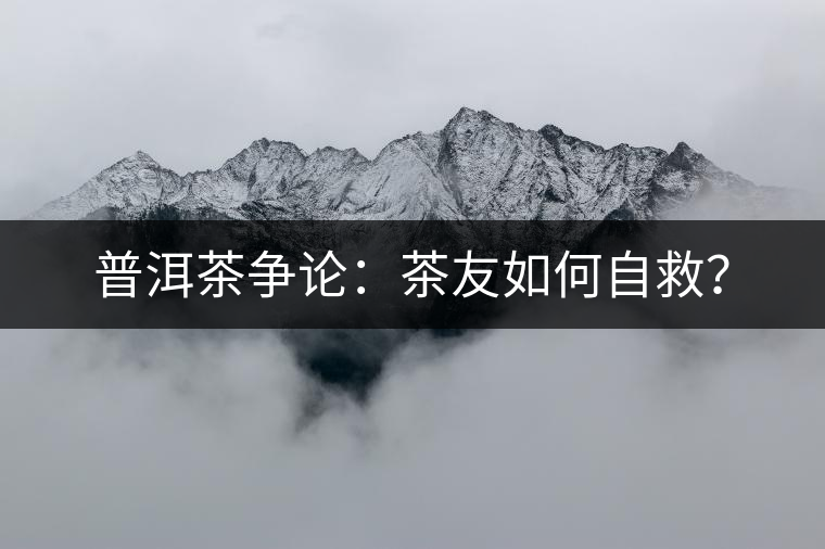 普洱茶爭論：茶友如何自救？
