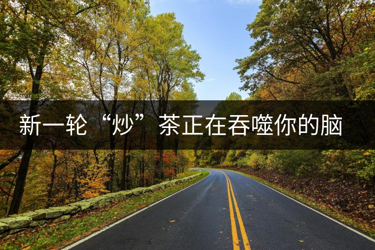 新一輪“炒”茶正在吞噬你的腦子，茶葉收藏不宜提倡