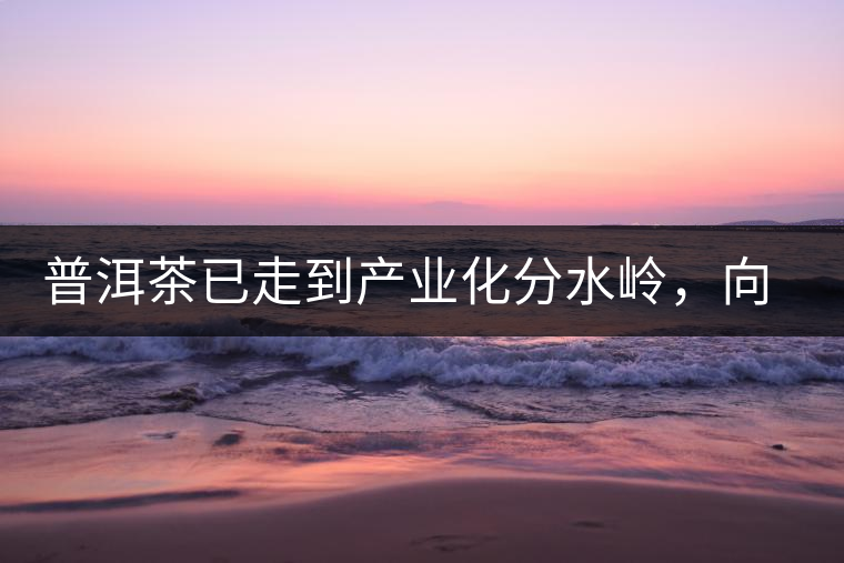 普洱茶已走到產(chǎn)業(yè)化分水嶺，向左還是向右？