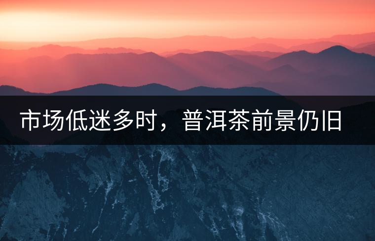 市場低迷多時，普洱茶前景仍舊被大佬們看好