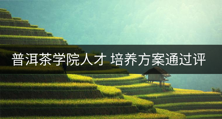 普洱茶學(xué)院人才 培養(yǎng)方案通過(guò)評(píng)審