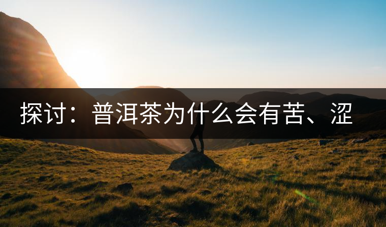 探討：普洱茶為什么會(huì)有苦、澀味兒？
