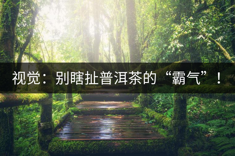 視覺：別瞎扯普洱茶的“霸氣”！偽大師！