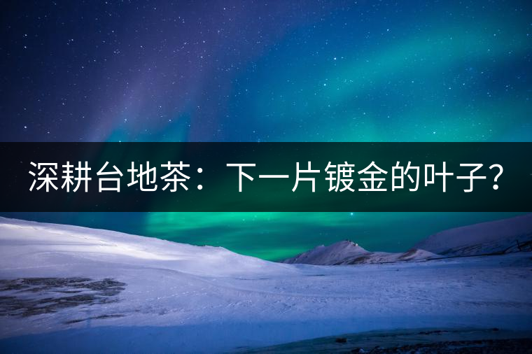 深耕臺(tái)地茶：下一片鍍金的葉子？