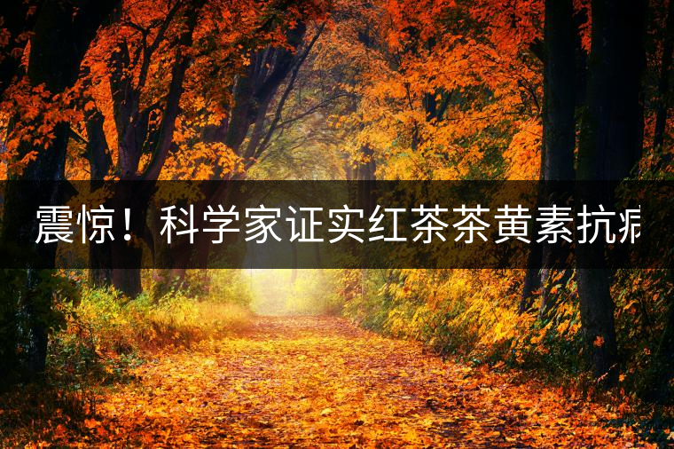 震驚！科學(xué)家證實(shí)紅茶茶黃素抗病毒新功能！