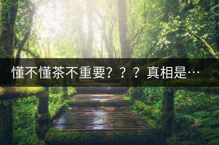 懂不懂茶不重要？？？真相是……