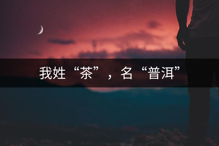 我姓“茶”，名“普洱”