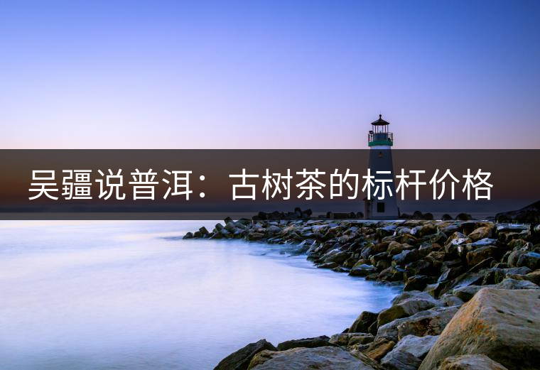 吳疆說普洱：古樹茶的標桿價格在哪里？