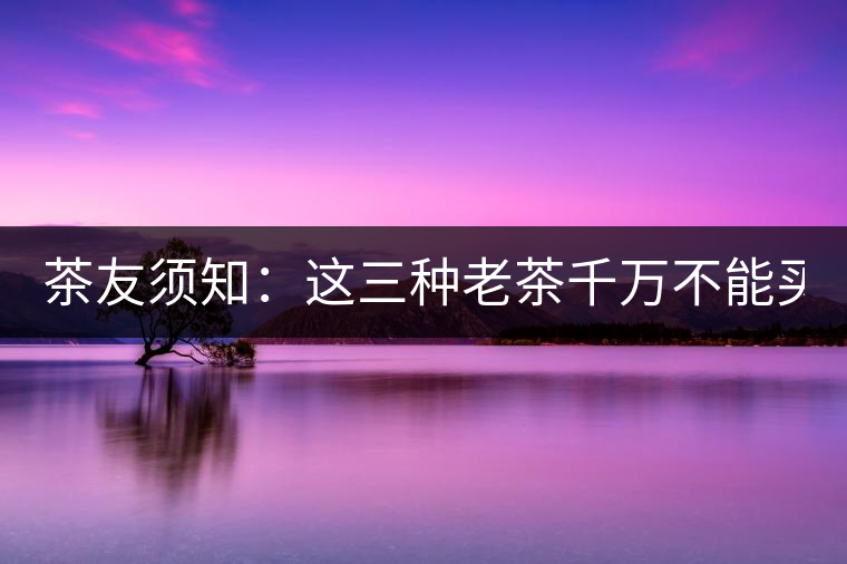 茶友須知：這三種老茶千萬不能買！