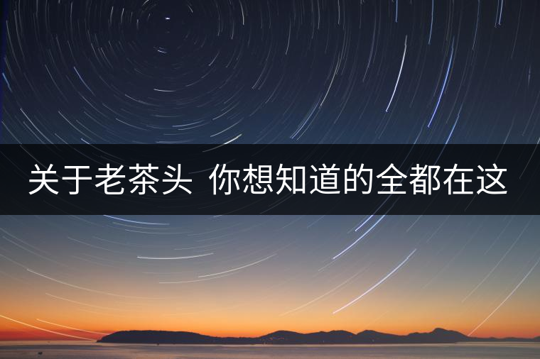 關(guān)于老茶頭  你想知道的全都在這兒啦！