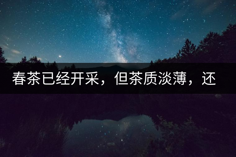 春茶已經(jīng)開采，但茶質(zhì)淡薄，還需一兩周
