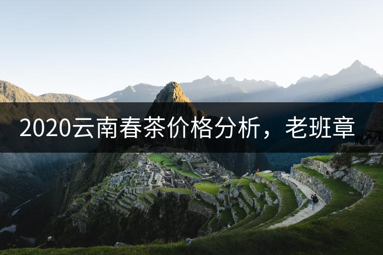 2020云南春茶價格分析，老班章依然將獨占鰲頭？
