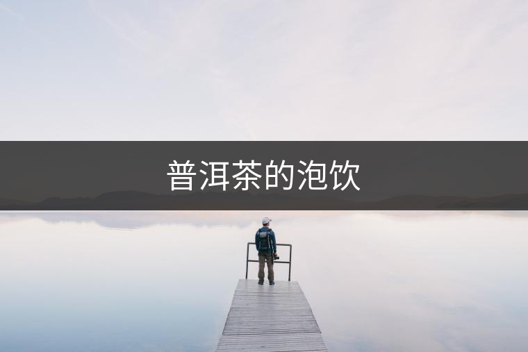 普洱茶的泡飲