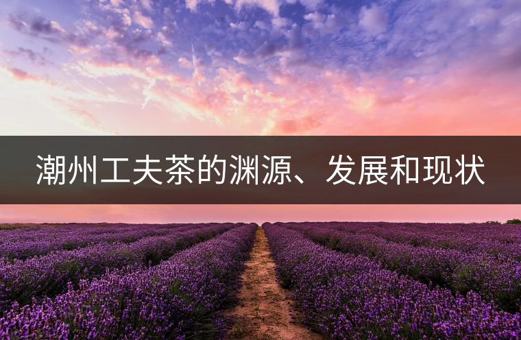 潮州工夫茶的淵源、發(fā)展和現(xiàn)狀 潮州工夫茶的淵源、發(fā)展和現(xiàn)狀