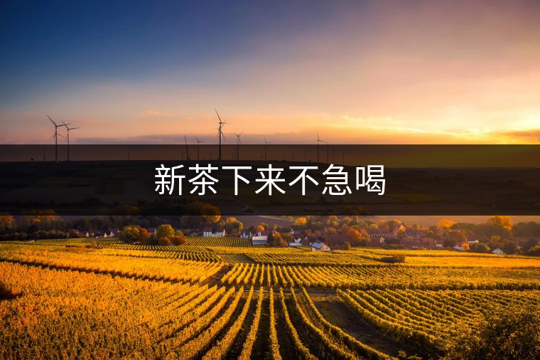 新茶下來(lái)不急喝 新茶下來(lái)不急喝