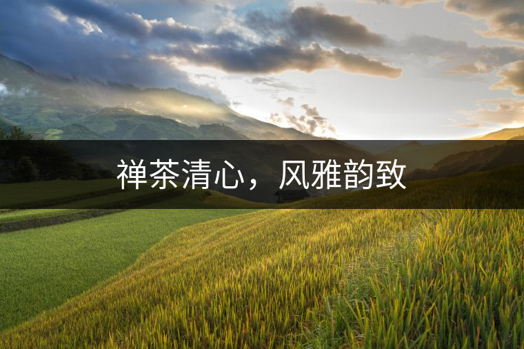 禪茶清心，風(fēng)雅韻致