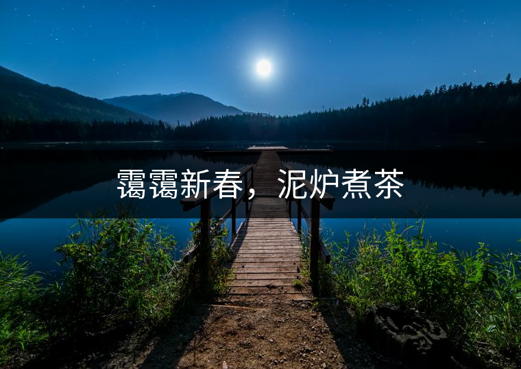靄靄新春，泥爐煮茶