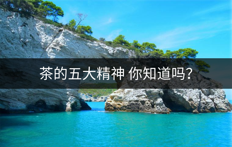 茶的五大精神 你知道嗎？