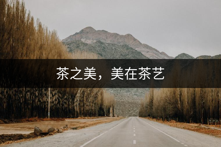 茶之美，美在茶藝
