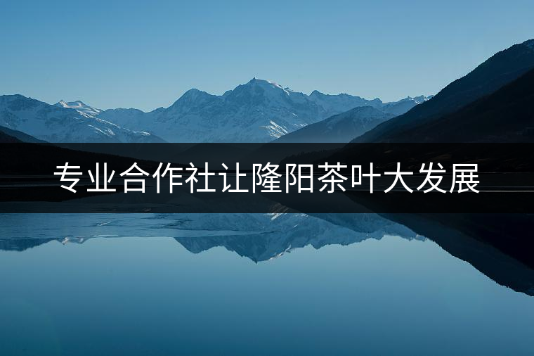 專(zhuān)業(yè)合作社讓隆陽(yáng)茶葉大發(fā)展