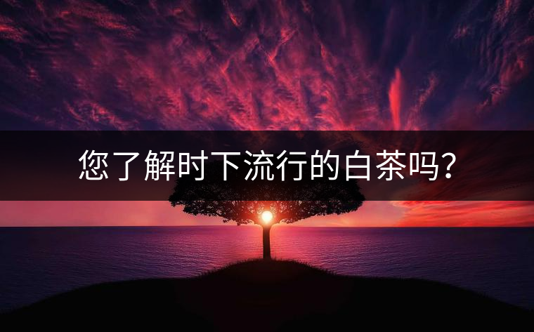 您了解時下流行的白茶嗎？