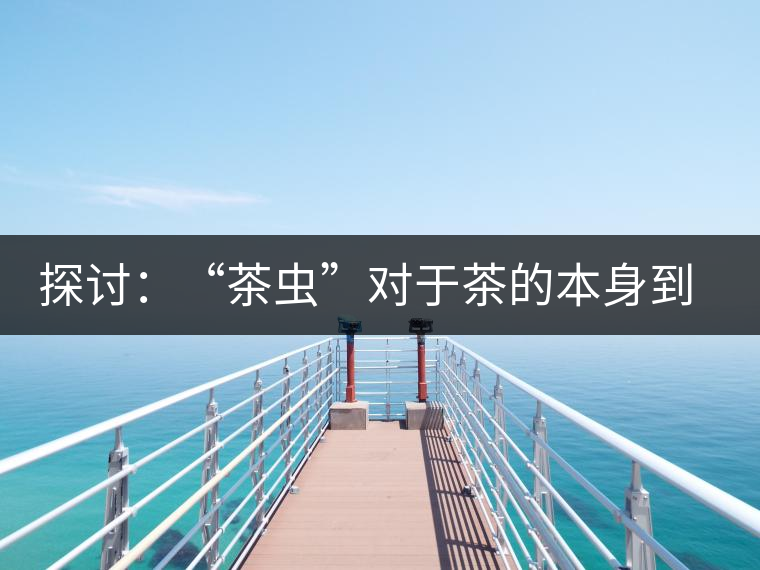 探討：“茶蟲”對于茶的本身到底是好是壞？
