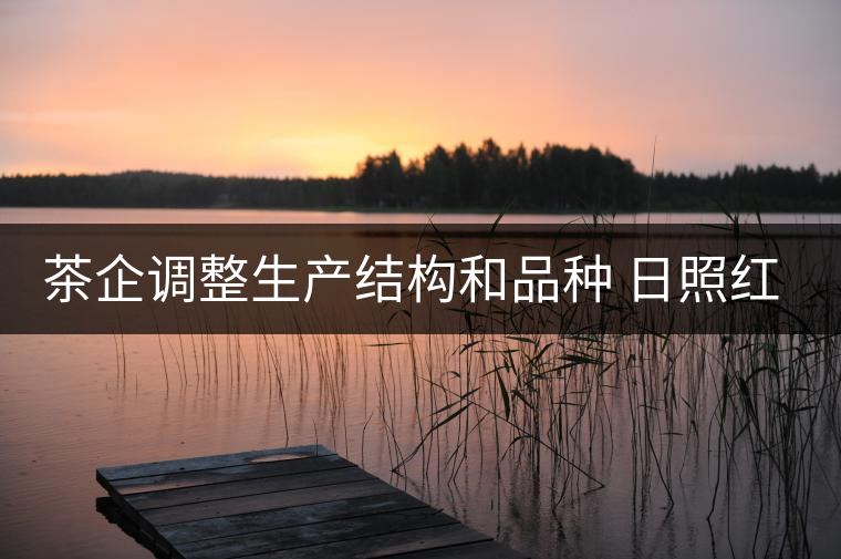 茶企調整生產結構和品種 日照紅茶產量銷量齊看漲 茶企調整生產結構和品種 日照紅茶產量銷量齊看漲
