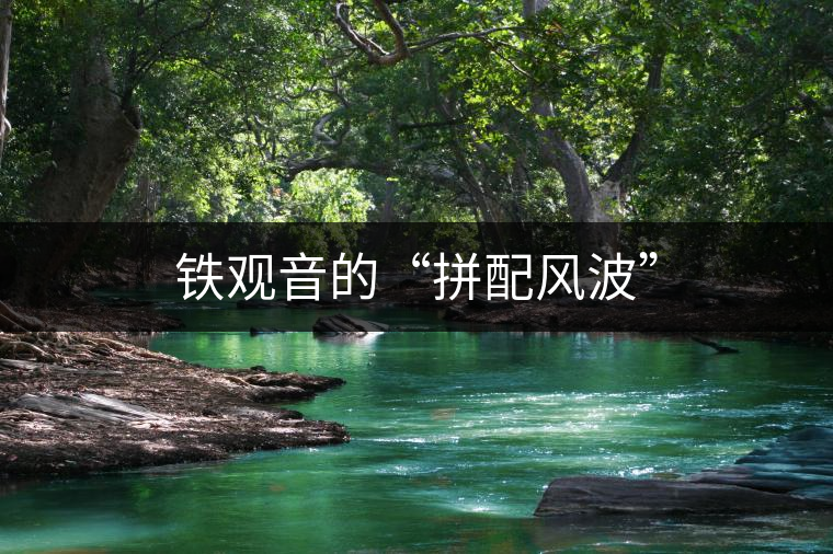 鐵觀音的“拼配風波” 鐵觀音的“拼配風波”