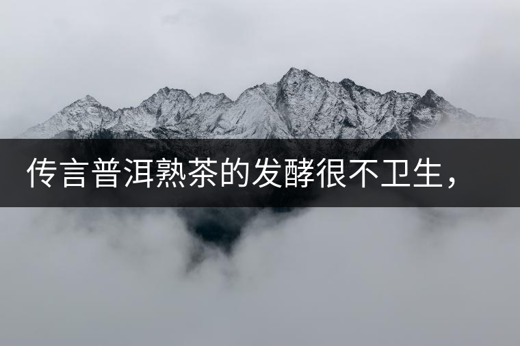 傳言普洱熟茶的發(fā)酵很不衛(wèi)生，是真的嗎？