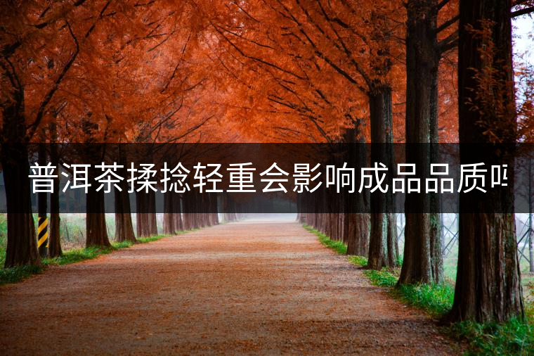 普洱茶揉捻輕重會影響成品品質(zhì)嗎？