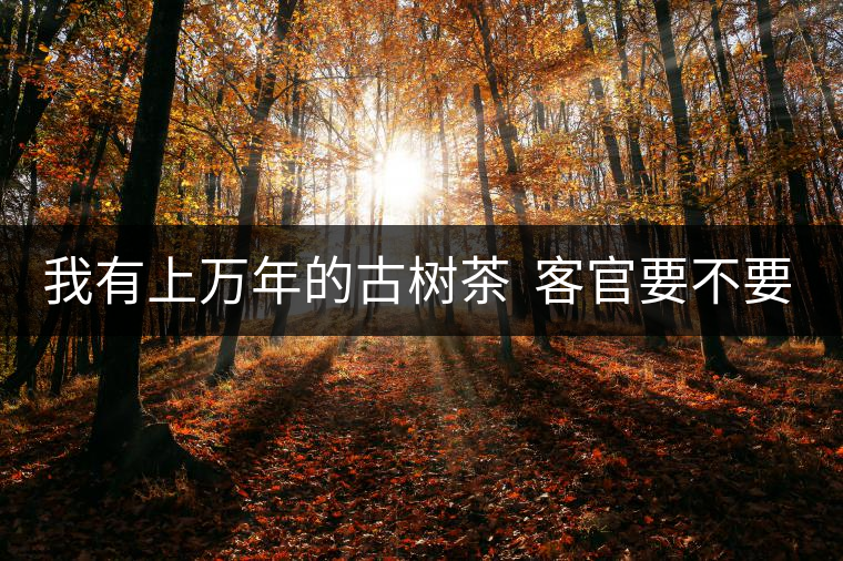我有上萬年的古樹茶  客官要不要嘗嘗？