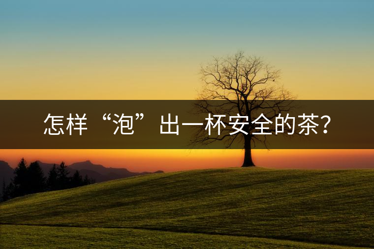 怎樣“泡”出一杯安全的茶？