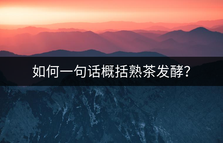 如何一句話概括熟茶發(fā)酵？