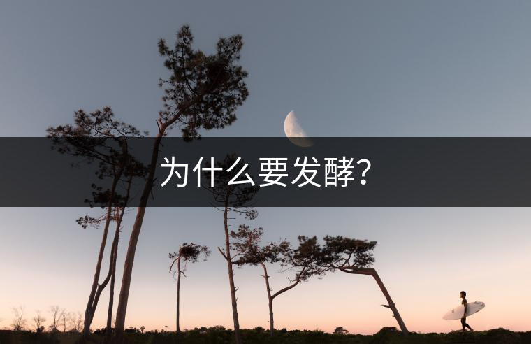 為什么要發(fā)酵？