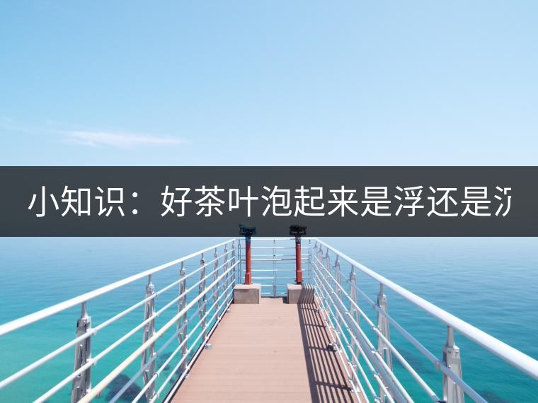 小知識：好茶葉泡起來是浮還是沉？