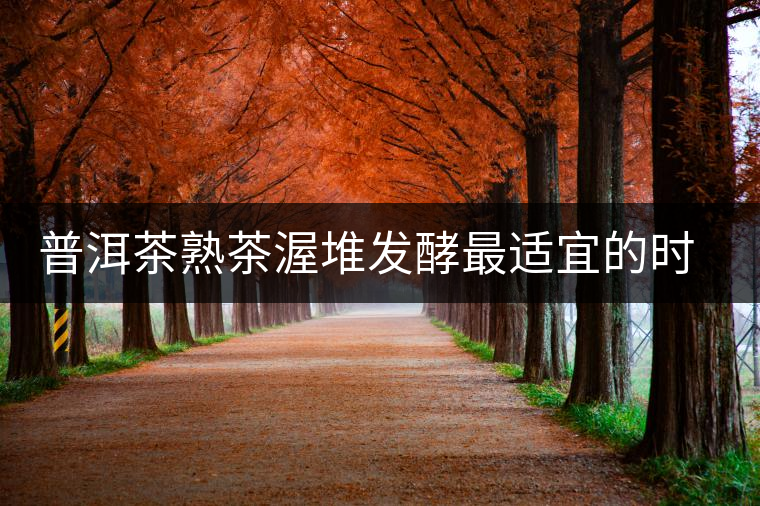 普洱茶熟茶渥堆發(fā)酵最適宜的時期是什么時候？