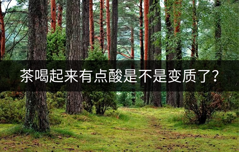 茶喝起來有點酸是不是變質(zhì)了？