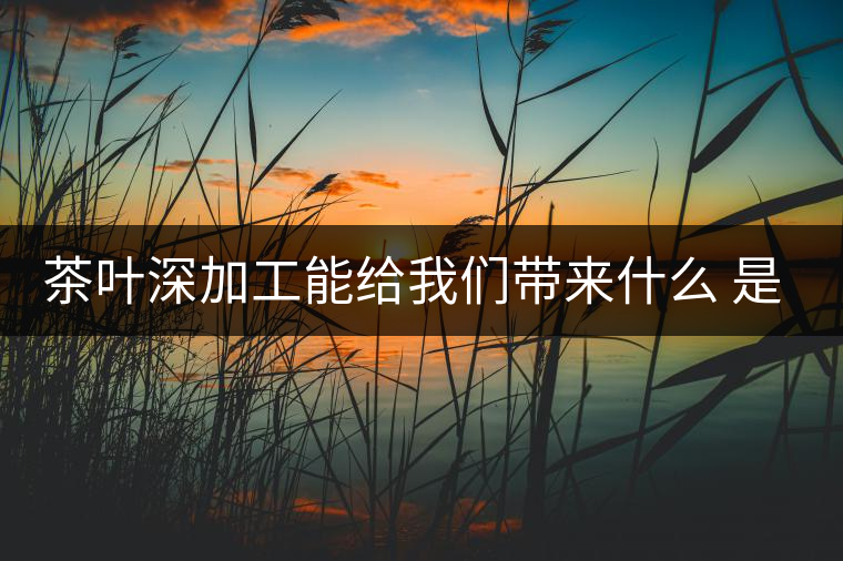 茶葉深加工能給我們帶來什么 是利還是弊呢？