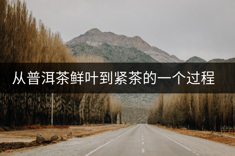 從普洱茶鮮葉到緊茶的一個(gè)過程介紹