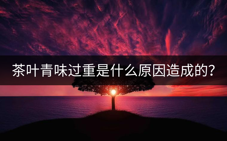 茶葉青味過(guò)重是什么原因造成的？