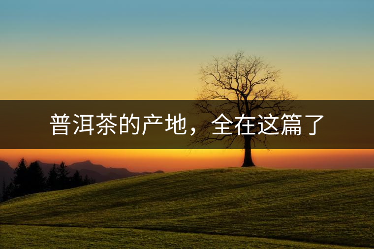 普洱茶的產(chǎn)地，全在這篇了