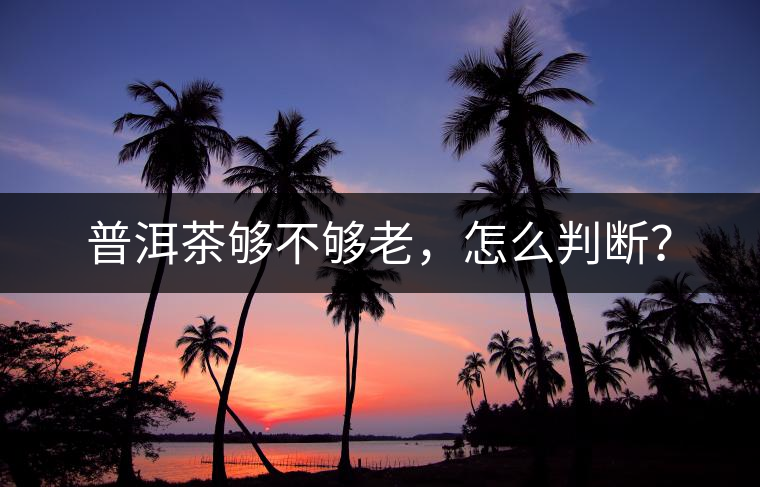 普洱茶夠不夠老，怎么判斷？