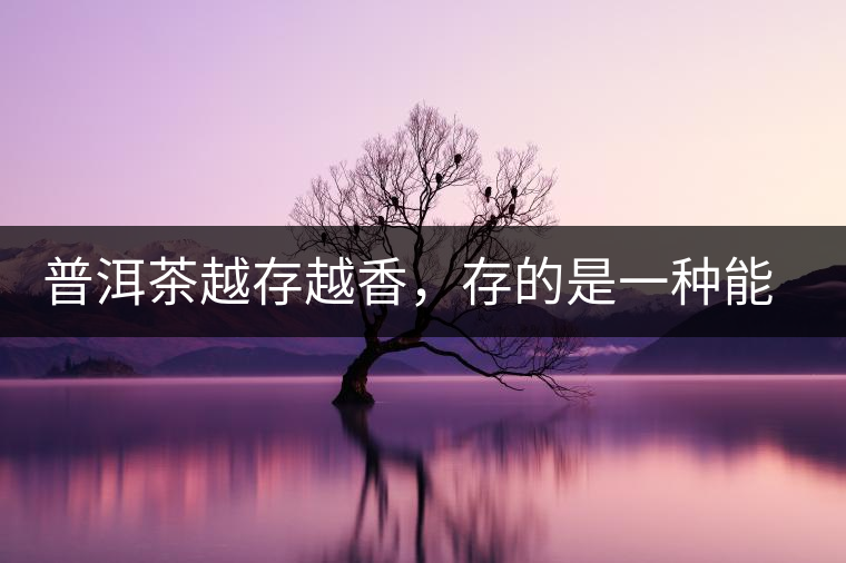 普洱茶越存越香,存的是一種能量 普洱茶越存越香,存的是一種能量